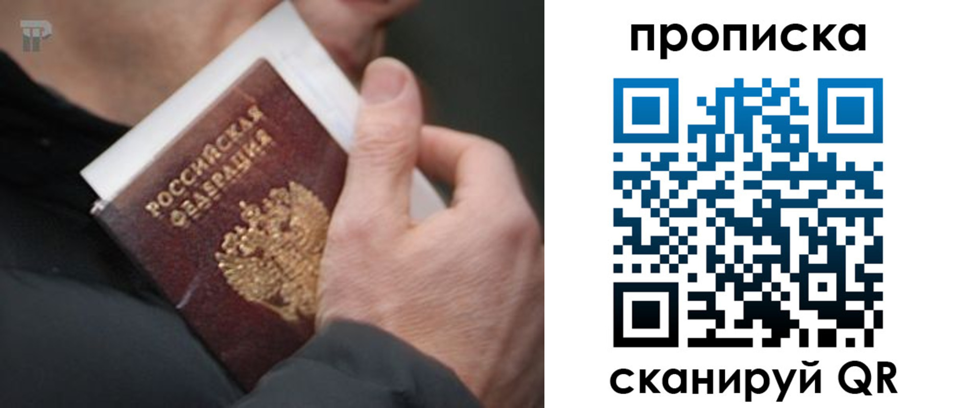 временная регистрация гарантия в Светлограде